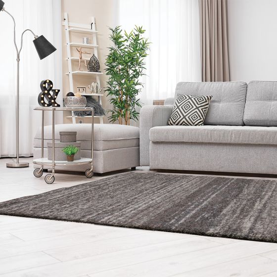 Covor Fun Shaggy light grey 160x230 cm