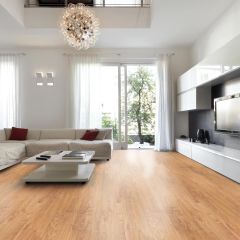 Parchet laminat Forest stejar Dalton 10 mm