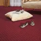 Mochetă Aktua Ecoluxe 116-bordo