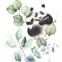 Tapet Panda Design