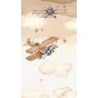Tapet Biplane Design