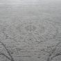 Covor Harmony grey 160x230 cm