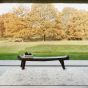 Covor Harmony beige 160x230 cm