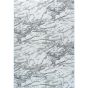 Covor Platinum light grey 160x230 cm