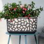 Duett 400 jardinieră din plastic 19,4x39,4x20,3 cm crem antracit