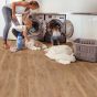Parchet laminat Organic Classic Historic Oak 8 mm