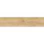 Mostră parchet laminat Wiparquet Village Pampa 30 cm